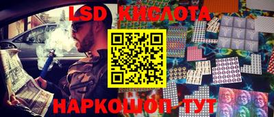 винт Новокубанск