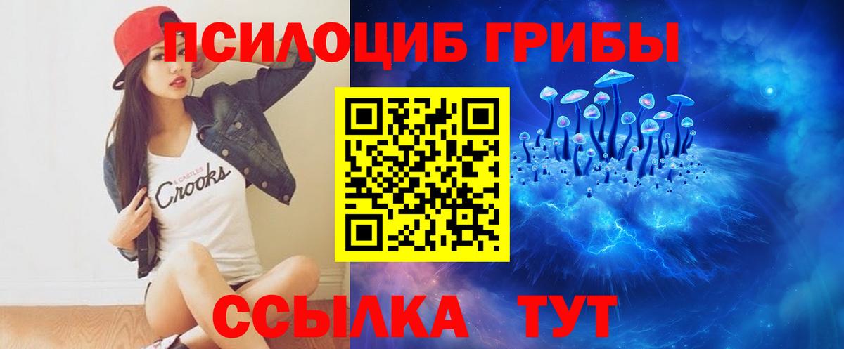 Псилоцибиновые грибы Psilocybine cubensis  Вход с VPN  Галлюциногенные грибы Psilocybine cubensis  Рассказово 